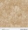 Fabric P & B Textiles Tan Palazzo 108" Wide Back by the Quarter Yard 5585-NE